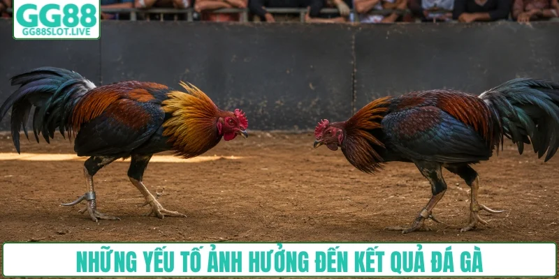 3 yếu tố ảnh hưởng đến kết quả thi đấu