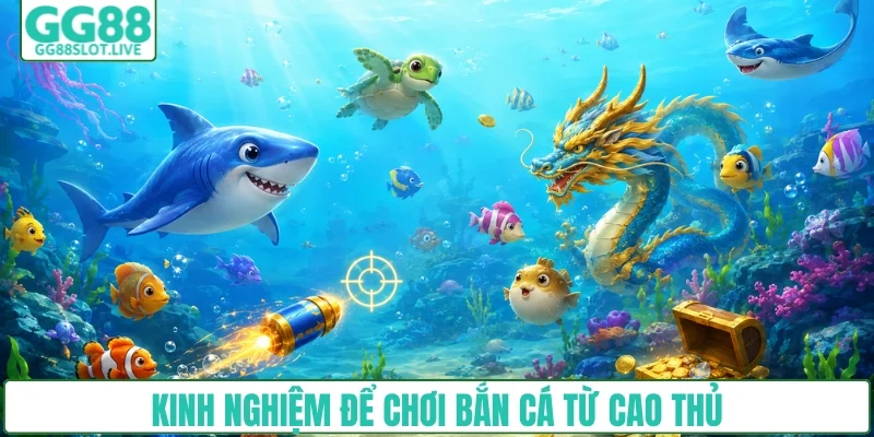 4 kinh nghiệm để tham gia chơi bắn cá