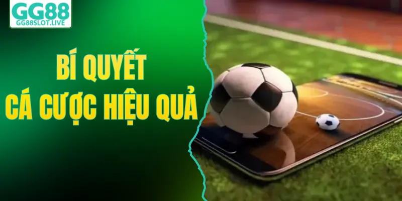 Bí Quyết Cá Cược Hiệu Quả Và Chiến Thuật Phân Tích Kèo