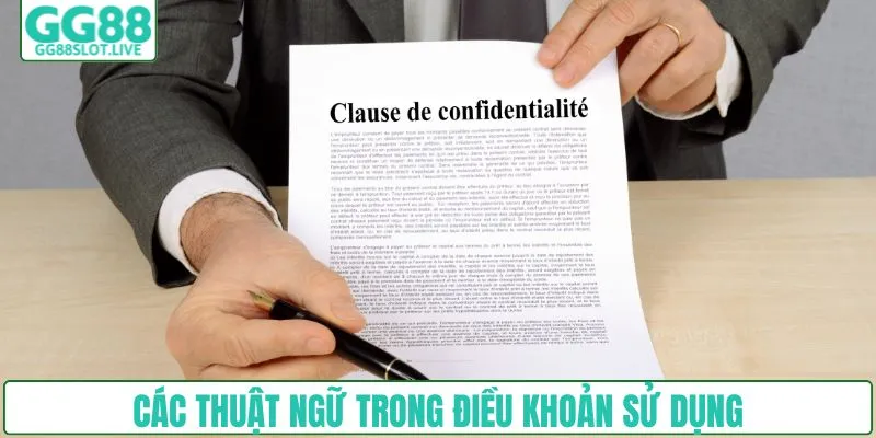 Các thuật ngữ trong điều khoản sử dụng