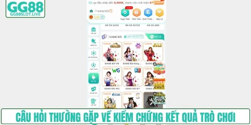 Câu hỏi thường gặp về kiểm chứng kết quả trò chơi