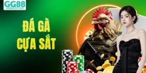 Đá Gà Cựa Sắt | Cuộc Đối Đầu Tốc Độ Trong Sới Gà 2026