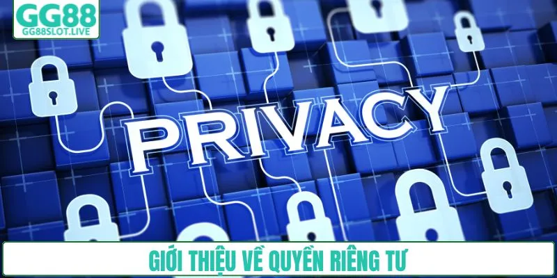 Giới thiệu về quyền riêng tư