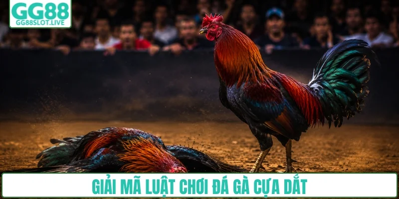 Luật chơi dễ hiểu từ A tới Z