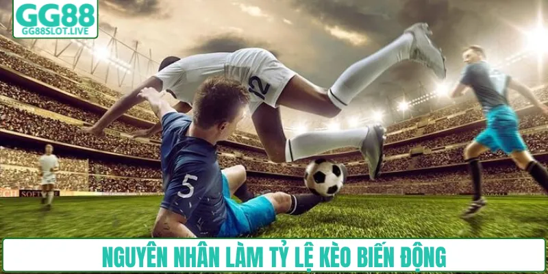 Nguyên nhân làm tỷ lệ kèo biến động