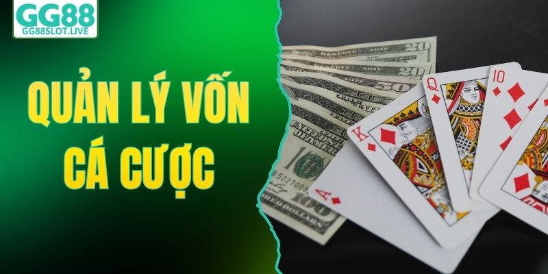 Bí Kíp Quản Lý Vốn Cá Cược Hiệu Quả Cho Thành Viên Mới
