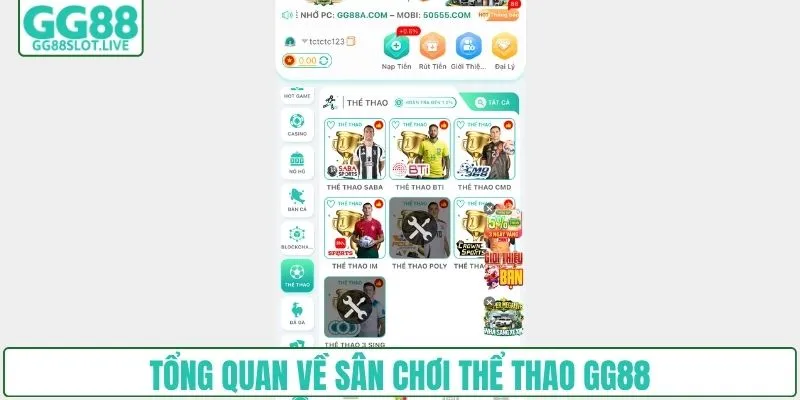 Tổng quan về sân chơi cá cược thể thao GG88