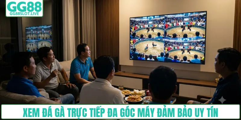 Xem đá gà trực tiếp đa góc máy đảm bảo uy tín